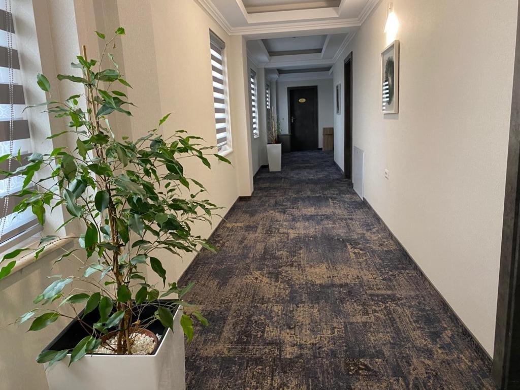 Hotel Yarus Plus プロイェシュティ エクステリア 写真